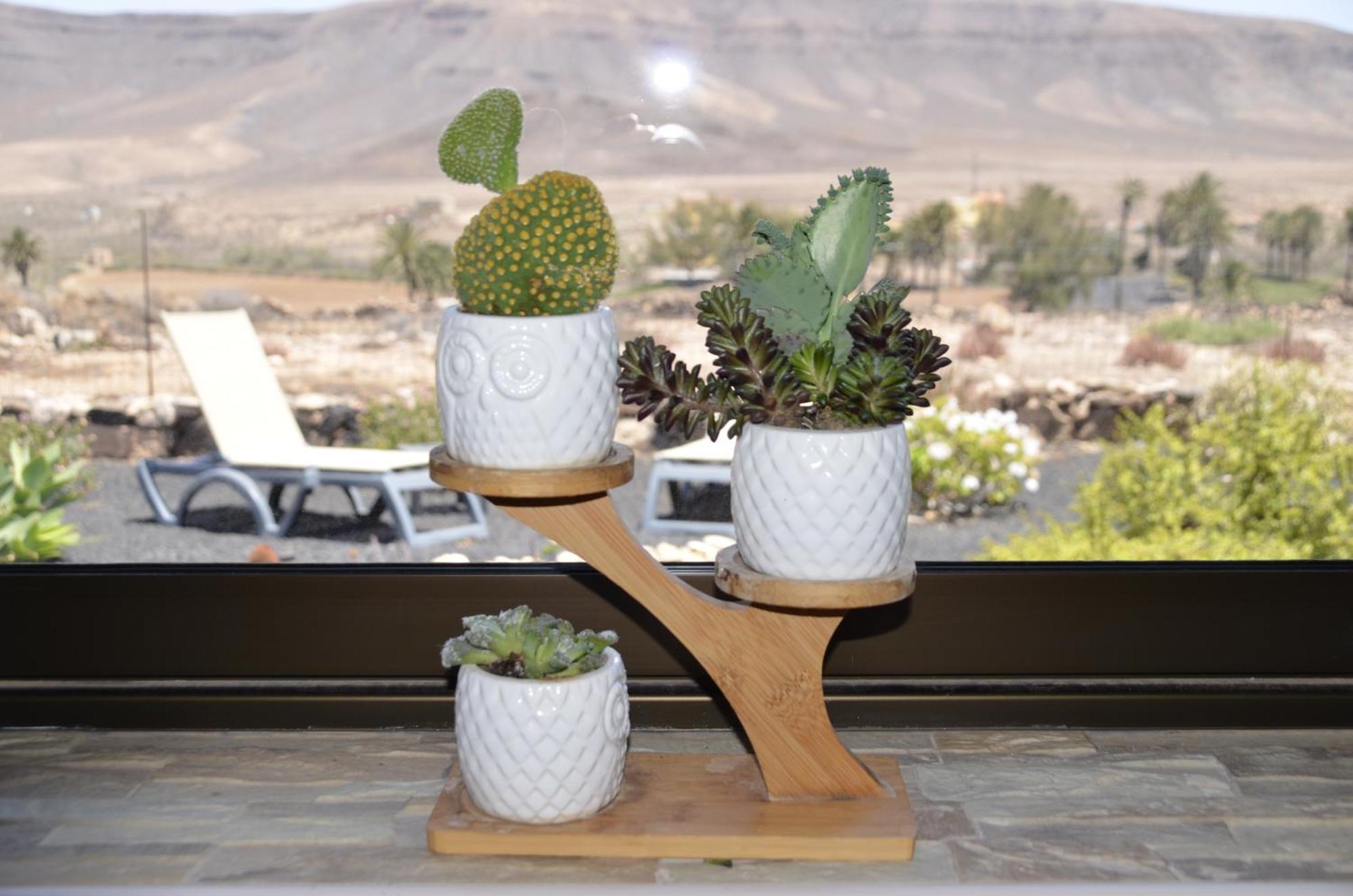 Casa Vista Oasis En Fuerteventura * La Guirra